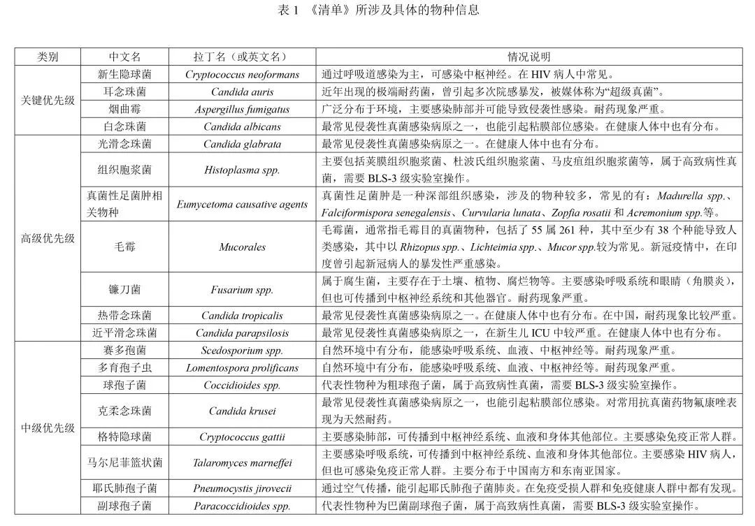 WHO公布《病原真菌優(yōu)先性清單》