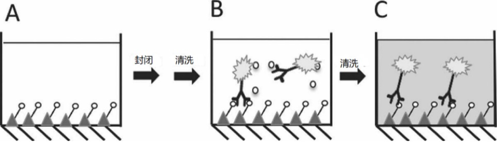 【大咖談技術(shù)】免疫測(cè)試的類型和選擇 【大咖談技術(shù)】免疫測(cè)試的類型和選擇