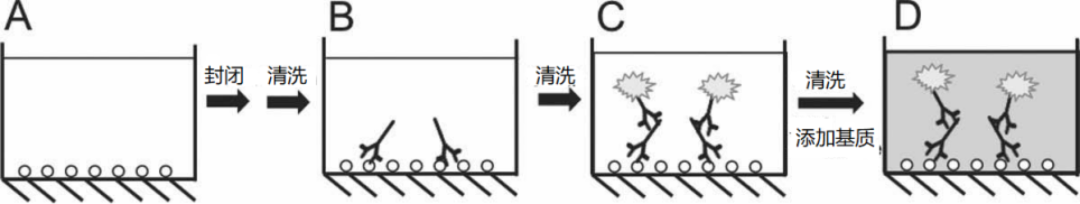【大咖談技術(shù)】免疫測(cè)試的類型和選擇 【大咖談技術(shù)】免疫測(cè)試的類型和選擇