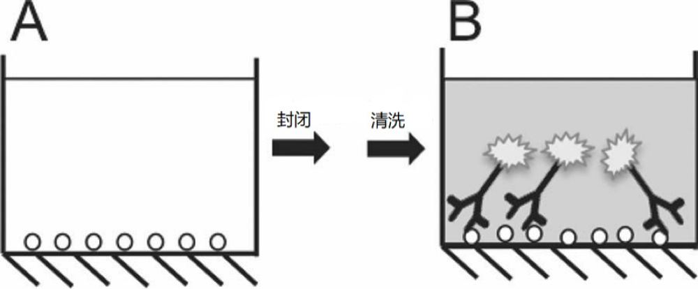 【大咖談技術(shù)】免疫測(cè)試的類型和選擇 【大咖談技術(shù)】免疫測(cè)試的類型和選擇