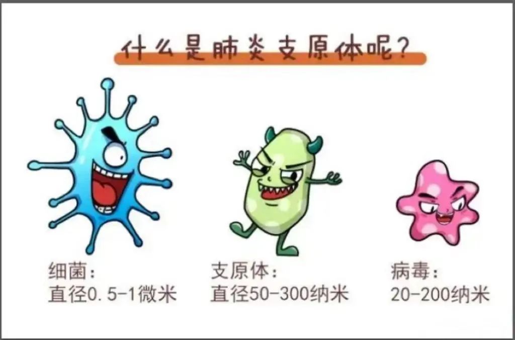 注意 | 孩子發(fā)燒咳嗽總不好？警惕肺炎支原體感染！