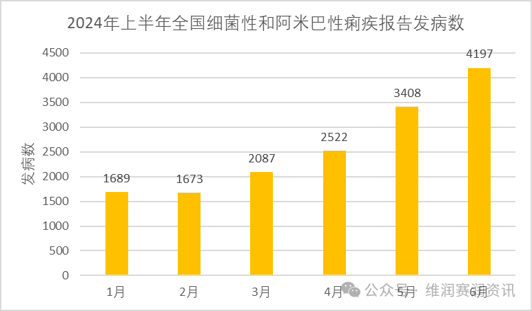 國家疾控:2024年上半年法定傳染病疫情概況 國家疾控:2024年上半年法定傳染病疫情概況