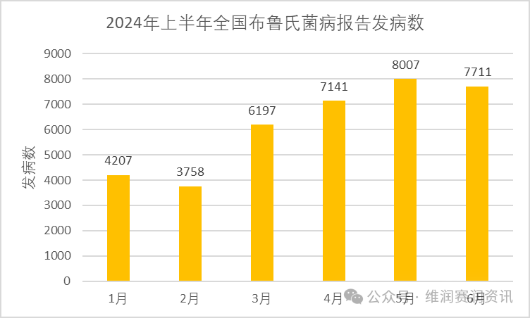 國家疾控:2024年上半年法定傳染病疫情概況 國家疾控:2024年上半年法定傳染病疫情概況