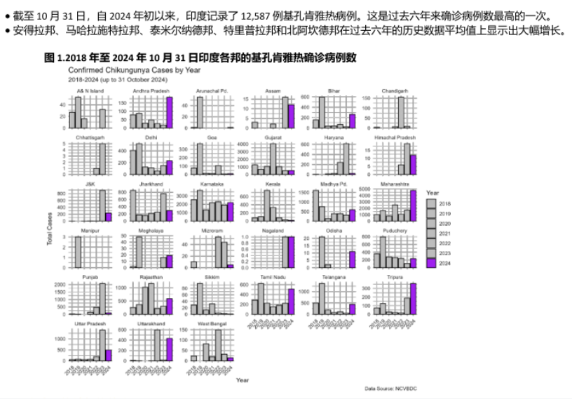 2024年全球基孔肯雅熱簡訊，巴西超41萬疑似病例