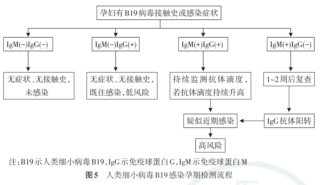 從孕前到新生，TORCH 檢測為生育友好醫(yī)院母嬰健康賦能