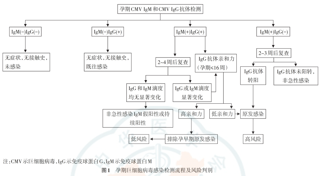從孕前到新生，TORCH 檢測為生育友好醫(yī)院母嬰健康賦能