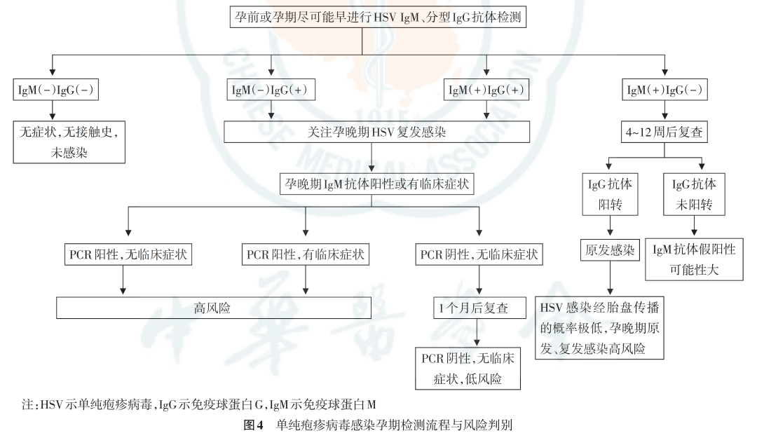 從孕前到新生，TORCH 檢測為生育友好醫(yī)院母嬰健康賦能
