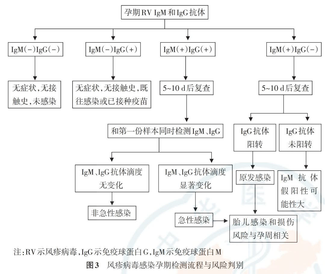 從孕前到新生，TORCH 檢測為生育友好醫(yī)院母嬰健康賦能