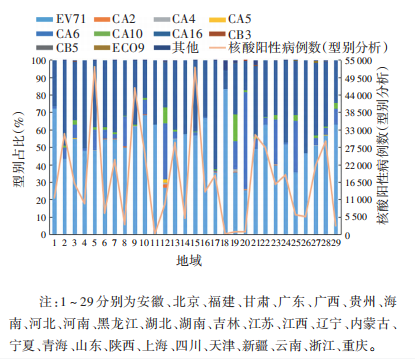 最新！中國手足口病流行病學特征